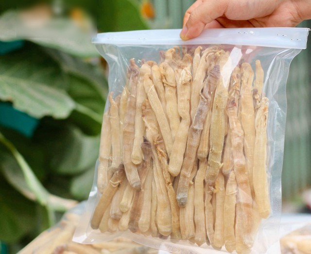 Sản vật tiến vua c&oacute; gi&aacute; v&agrave;i triệu đồng/kg được d&acirc;n địa phương gọi l&agrave; "vị thần" của c&aacute;c m&oacute;n nước- Ảnh 7.