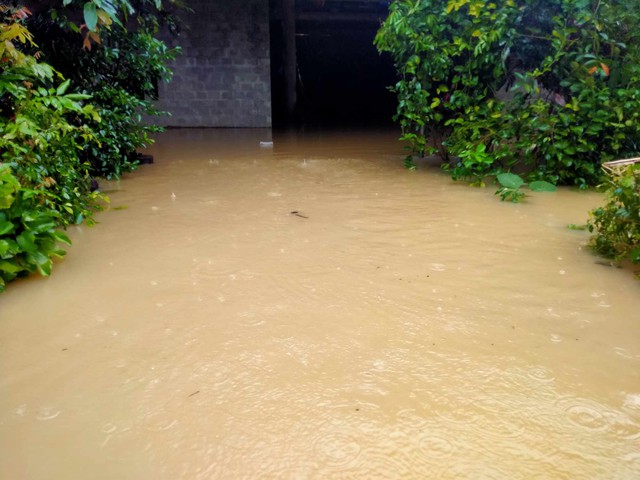 "Siêu dự án" thủy lợi tích nước, 119 hộ dân nằm biệt lập giữa rừng chưa thể tái định cư- Ảnh 3. "Siêu dự án" thủy lợi tích nước, 119 hộ dân nằm biệt lập giữa rừng chưa thể tái định cư- Ảnh 3.