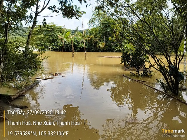 "Siêu dự án" thủy lợi tích nước, 119 hộ dân nằm biệt lập giữa rừng chưa thể tái định cư- Ảnh 2. "Siêu dự án" thủy lợi tích nước, 119 hộ dân nằm biệt lập giữa rừng chưa thể tái định cư- Ảnh 2.