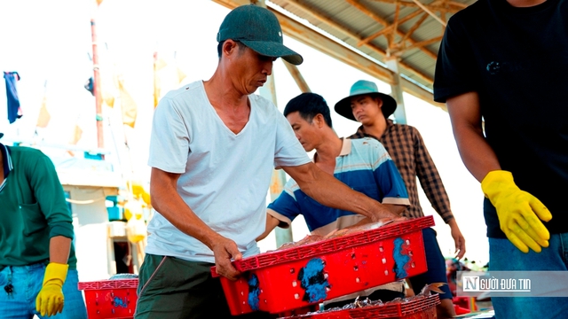 Cảng c&aacute; Đại An v&agrave;o vụ, nhịp biển rộn r&agrave;ng ng&agrave;y trở gi&oacute;- Ảnh 3.