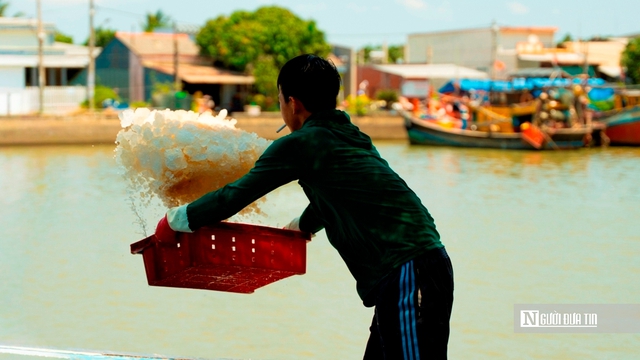 Cảng c&aacute; Đại An v&agrave;o vụ, nhịp biển rộn r&agrave;ng ng&agrave;y trở gi&oacute;- Ảnh 4.