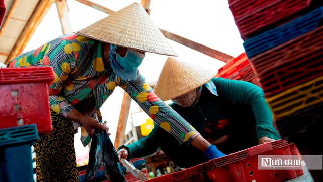 Cảng c&aacute; Đại An v&agrave;o vụ, nhịp biển rộn r&agrave;ng ng&agrave;y trở gi&oacute;- Ảnh 7.