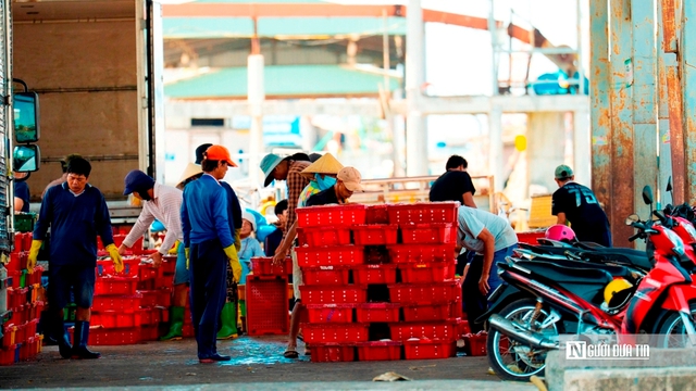 Cảng c&aacute; Đại An v&agrave;o vụ, nhịp biển rộn r&agrave;ng ng&agrave;y trở gi&oacute;- Ảnh 10.