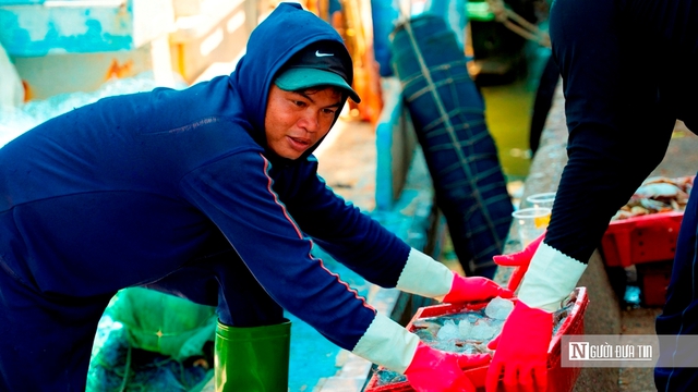 Cảng c&aacute; Đại An v&agrave;o vụ, nhịp biển rộn r&agrave;ng ng&agrave;y trở gi&oacute;- Ảnh 13.