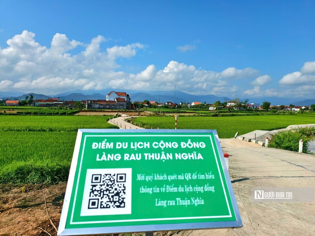 Gia Lai bứt ph&aacute; từ bệ ph&oacute;ng Năm Du lịch Quốc gia: - Ảnh 5.