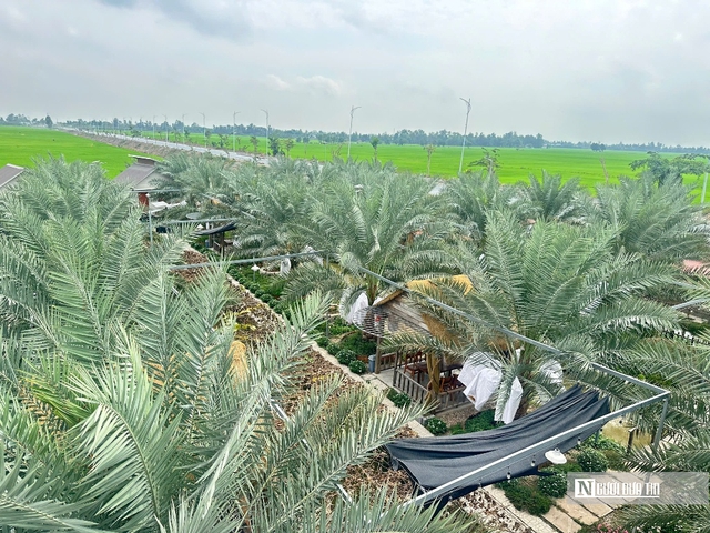 Ch&agrave; l&agrave; b&eacute;n duy&ecirc;n v&ugrave;ng bi&ecirc;n, mở hướng canh t&aacute;c mới- Ảnh 3.