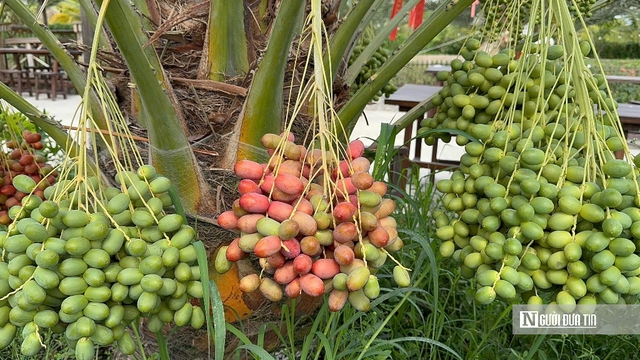 Ch&agrave; l&agrave; b&eacute;n duy&ecirc;n v&ugrave;ng bi&ecirc;n, mở hướng canh t&aacute;c mới- Ảnh 10.