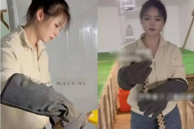 Bỏ phố về qu&ecirc; c&ugrave;ng bố nu&ocirc;i 60.000 con rắn "độc", c&ocirc; g&aacute;i xinh đẹp kiếm 3,8 tỷ/năm - Ảnh 1.