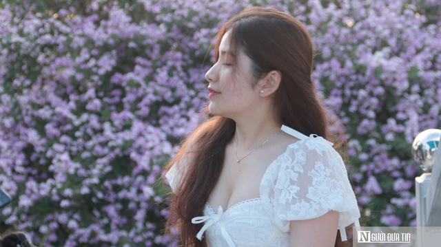 C&acirc;y bằng lăng "hot" nhất H&agrave; Nội l&uacute;c n&agrave;y, giới trẻ chen ch&acirc;n săn ảnh- Ảnh 3.