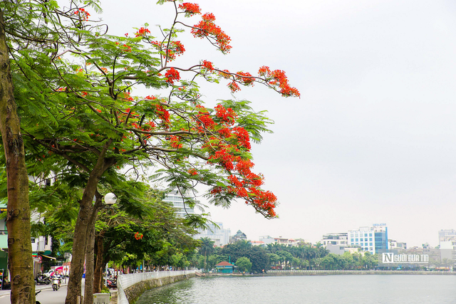 K&iacute; ức niềm thương nhớ- Ảnh 1.