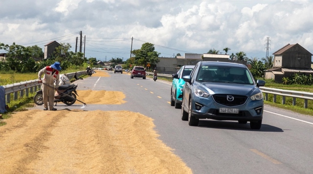 Bắt c&oacute;c bỏ đĩa - Ảnh 1.