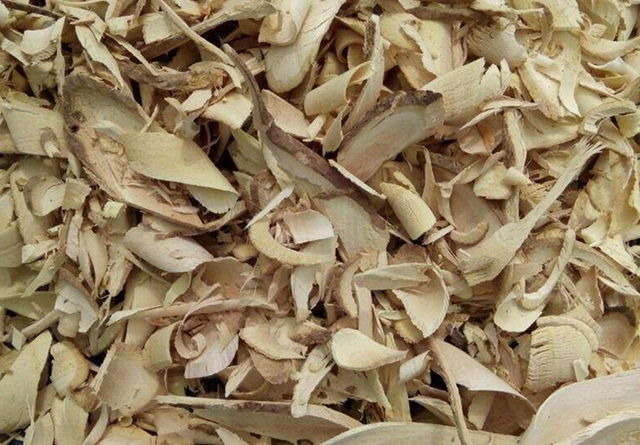 Ngỡ l&agrave; c&acirc;y dại ven đường, ai ngờ phần rễ b&aacute;n tới 10 triệu/kg, vẫn c&oacute; người mua - Ảnh 2.
