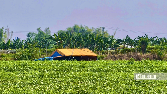 Chuyện &iacute;t biết về nghề "phu dưa" phi&ecirc;u bạt, gieo ước mơ hy vọng - Ảnh 8.