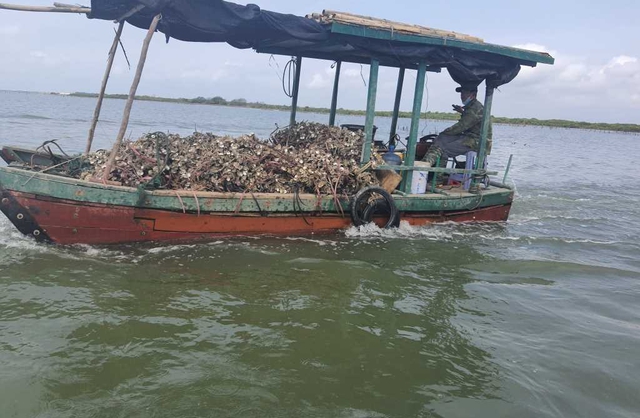Ngư trường Quảng Ninh quá tải vì tàu cá nhỏ- Ảnh 1. Ngư trường Quảng Ninh quá tải vì tàu cá nhỏ- Ảnh 1.