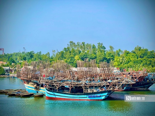 Tàu đầy ắp hải sản nhưng ngư dân Quảng Ngãi vẫn phải “gửi nhờ” cảng ngoài tỉnh - Ảnh 3.