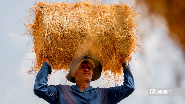 Chợ rơm Ba Lai nhộn nhịp, n&acirc;ng gi&aacute; trị n&ocirc;ng nghiệp miền T&acirc;y- Ảnh 3.
