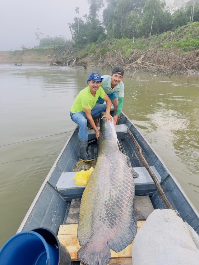 2 anh em bắt được con c&aacute; khổng lồ nặng 130kg, d&agrave;i 2,2 m&eacute;t tr&ecirc;n s&ocirc;ng - Ảnh 1.