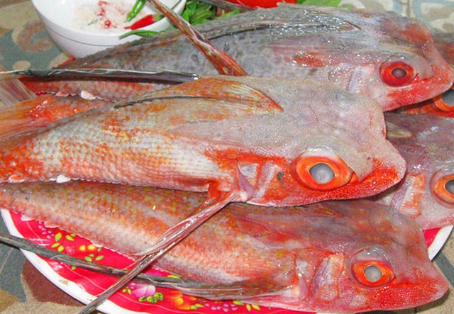 Lo&agrave;i c&aacute; c&oacute; t&ecirc;n như lo&agrave;i b&ograve; s&aacute;t l&agrave; đặc sản "tuyệt đỉnh" nhiều người muốn thử - Ảnh 2.