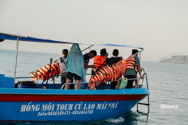 &ldquo;Săn&rdquo; ảnh c&aacute; voi: Tr&aacute;nh nhầm lẫn &ldquo;y&ecirc;u thi&ecirc;n nhi&ecirc;n&rdquo; với &ldquo;g&acirc;y hại động vật hoang d&atilde;&rdquo; - Ảnh 3.