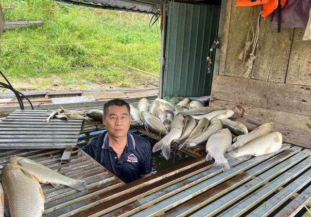 Th&ocirc;ng tin mới về vụ c&aacute; chết h&agrave;ng loạt bất thường tr&ecirc;n s&ocirc;ng Lam- Ảnh 1.