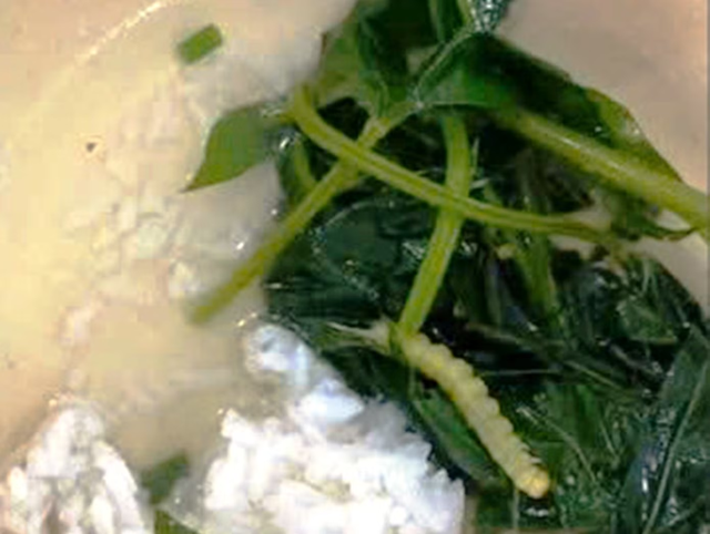 Vụ “canh rau có sâu” gây bão mạng ở Huế: Cơ quan chức năng nói gì? - Ảnh 1.