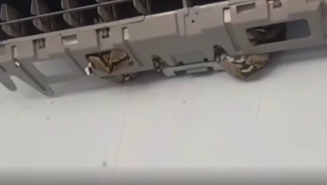 Chủ quán cà phê sốc nặng khi nhìn thấy cảnh tượng trong máy điều hòa - Ảnh 1.