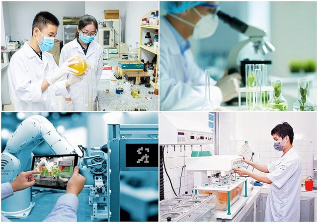 Đến năm 2030 h&igrave;nh th&agrave;nh khoảng 30 nh&oacute;m nghi&ecirc;n cứu mạnh về khoa học tự nhi&ecirc;n  - Ảnh 1.