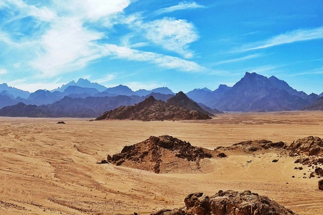 Những nơi nắng n&oacute;ng đến mức phải lắp điều h&ograve;a tr&ecirc;n đường phố, chim rơi khỏi bầu trời - Ảnh 5.