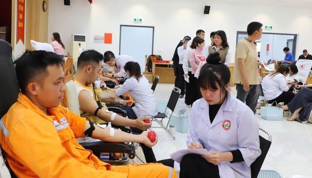 Tuổi trẻ Công ty Điện lực Lâm Đồng sôi nổi phong trào, khẳng định tinh thần xung kích - Ảnh 1.