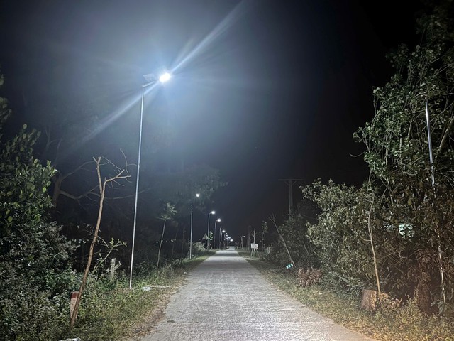Tuổi trẻ Công ty Điện lực Lâm Đồng sôi nổi phong trào, khẳng định tinh thần xung kích - Ảnh 2.