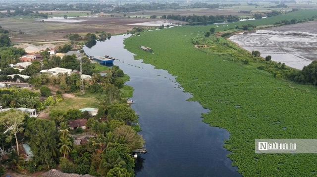 Sông Vàm Cỏ Đông đổi màu đen: Điều gì đang xảy ra?- Ảnh 1. Sông Vàm Cỏ Đông đổi màu đen: Điều gì đang xảy ra?- Ảnh 1.
