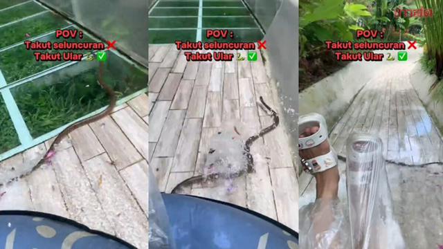 Đang chơi cầu trượt, người dân bất ngờ phát hiện cảnh tượng “đáng sợ” giữa ban ngày - Ảnh 1.
