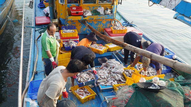 “Khoác áo” nhận diện cho tàu cá, Lâm Đồng hướng tới nghề cá bền vững- Ảnh 5. “Khoác áo” nhận diện cho tàu cá, Lâm Đồng hướng tới nghề cá bền vững- Ảnh 5.