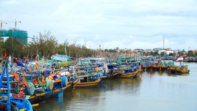 “Khoác áo” nhận diện cho tàu cá, Lâm Đồng hướng tới nghề cá bền vững- Ảnh 1. “Khoác áo” nhận diện cho tàu cá, Lâm Đồng hướng tới nghề cá bền vững- Ảnh 1.