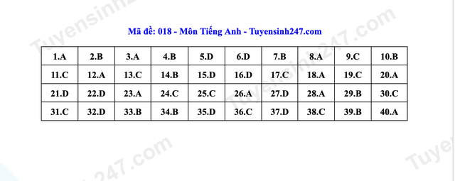Đáp án môn tiếng Anh thi vào lớp 10 Hà Nội- Ảnh 16. Đáp án môn tiếng Anh thi vào lớp 10 Hà Nội- Ảnh 16.