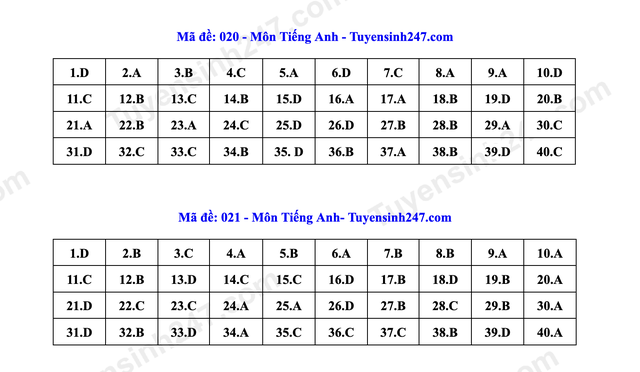 Đáp án môn tiếng Anh thi vào lớp 10 Hà Nội- Ảnh 17. Đáp án môn tiếng Anh thi vào lớp 10 Hà Nội- Ảnh 17.