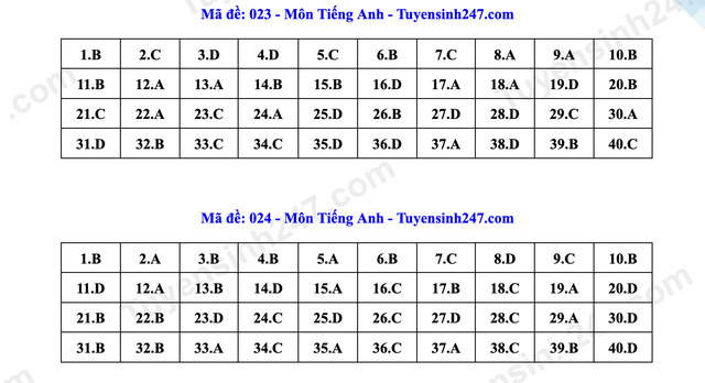 Đáp án môn tiếng Anh thi vào lớp 10 Hà Nội- Ảnh 19. Đáp án môn tiếng Anh thi vào lớp 10 Hà Nội- Ảnh 19.