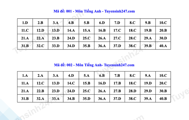 Đáp án môn tiếng Anh thi vào lớp 10 Hà Nội- Ảnh 13. Đáp án môn tiếng Anh thi vào lớp 10 Hà Nội- Ảnh 13.