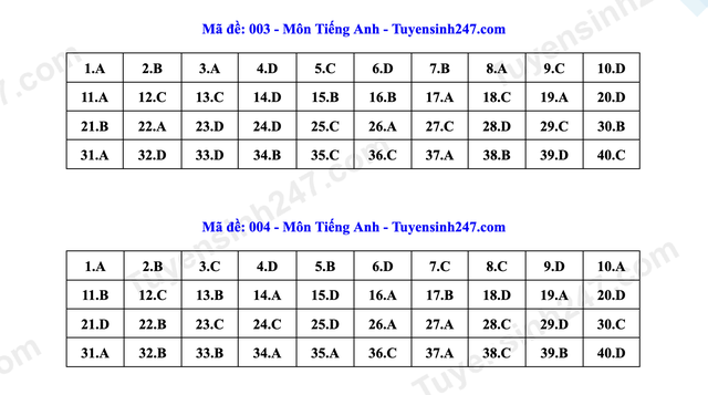 Đáp án môn tiếng Anh thi vào lớp 10 Hà Nội- Ảnh 14. Đáp án môn tiếng Anh thi vào lớp 10 Hà Nội- Ảnh 14.