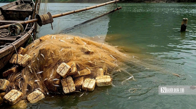 Theo ch&acirc;n người d&acirc;n &ldquo;x&oacute;m Việt kiều&rdquo; mưu sinh b&ecirc;n hồ Dầu Tiếng- Ảnh 10.