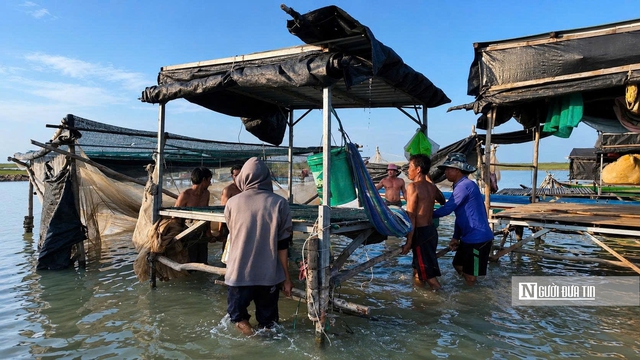Theo ch&acirc;n người d&acirc;n &ldquo;x&oacute;m Việt kiều&rdquo; mưu sinh b&ecirc;n hồ Dầu Tiếng- Ảnh 22.