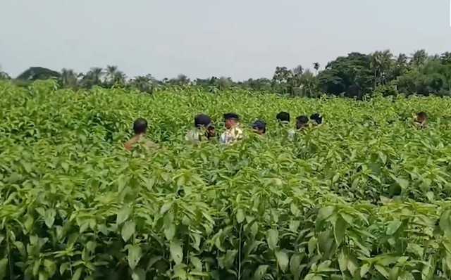 Phát hiện 6,2 tỷ đồng tiền mặt chôn trên cánh đồng đay - Ảnh 1.