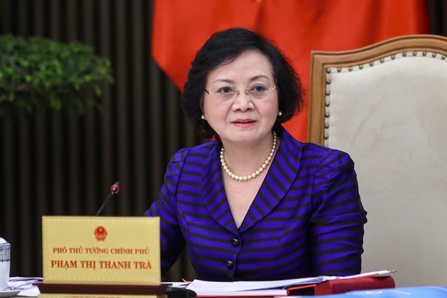 Phó Thủ tướng Phạm Thị Thanh Trà làm Trưởng BCĐ quốc gia về phát triển ngành dược Việt Nam - Ảnh 1.