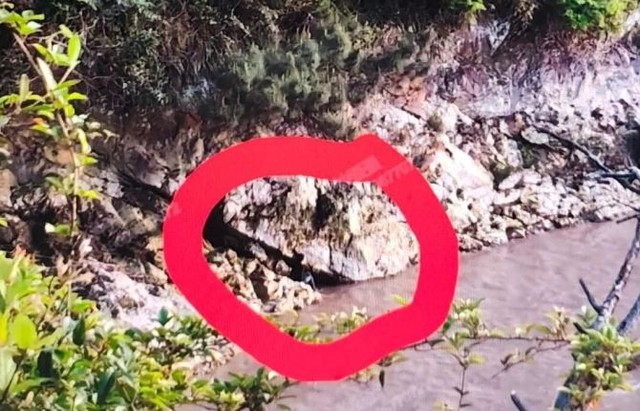 B&eacute; trai 6 tuổi su&yacute;t mất mạng trong khi cha mẹ mải m&ecirc; chụp ảnh - Ảnh 1.