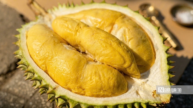 Sầu ri&ecirc;ng biến động kh&oacute; lường, nh&agrave; vườn &ldquo;đứng ngồi kh&ocirc;ng y&ecirc;n&rdquo;- Ảnh 4.