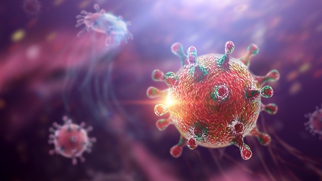 Việt Nam chưa ghi nhận ca bệnh do virus Hanta, Bộ Y tế đưa ra 5 khuyến c&aacute;o - Ảnh 1.