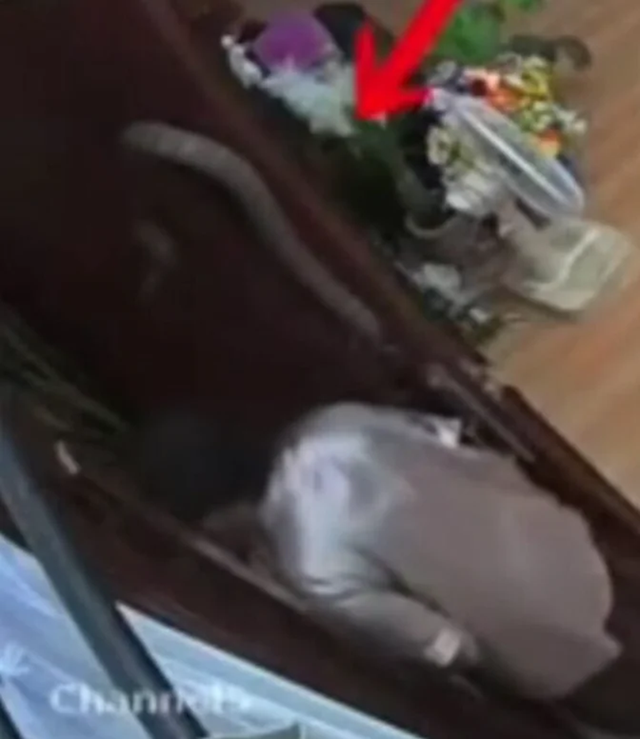 Mở cửa v&agrave;o nh&agrave;, cụ b&agrave; bỗng thấy cảnh tượng "nổi da g&agrave;" - Ảnh 1.
