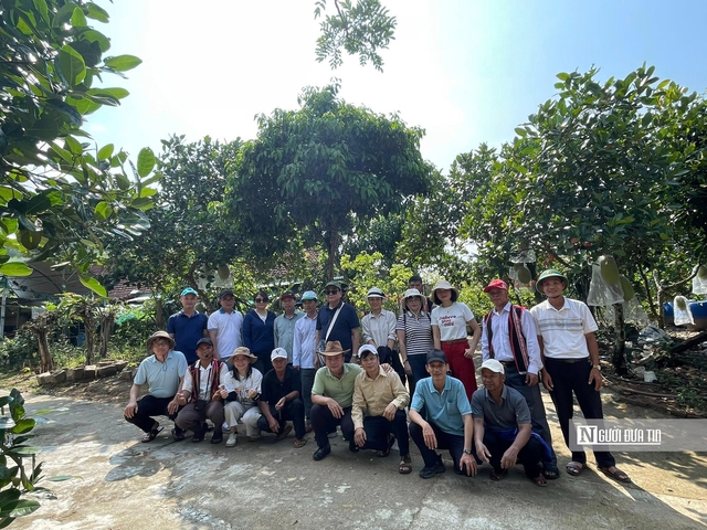 Du lịch sinh th&aacute;i, ch&igrave;a kh&oacute;a mới cho kinh tế rừng ở Gia Lai- Ảnh 5.