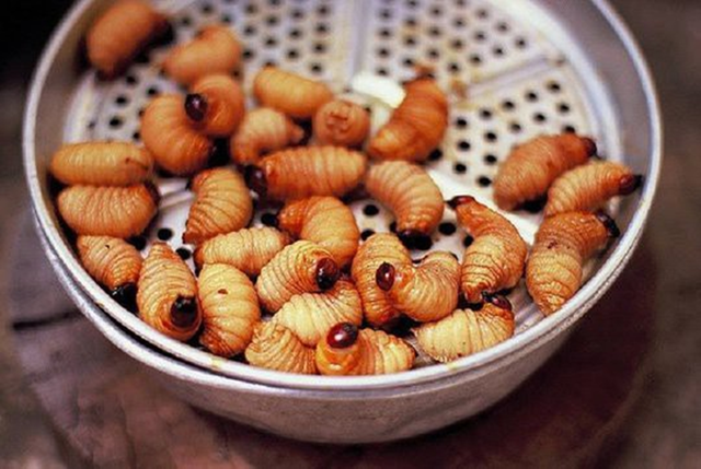 M&oacute;n đặc sản nh&igrave;n tưởng &ldquo;kinh dị&rdquo;, gi&aacute; 400.000 đồng/kg vẫn c&oacute; người mua - Ảnh 1.