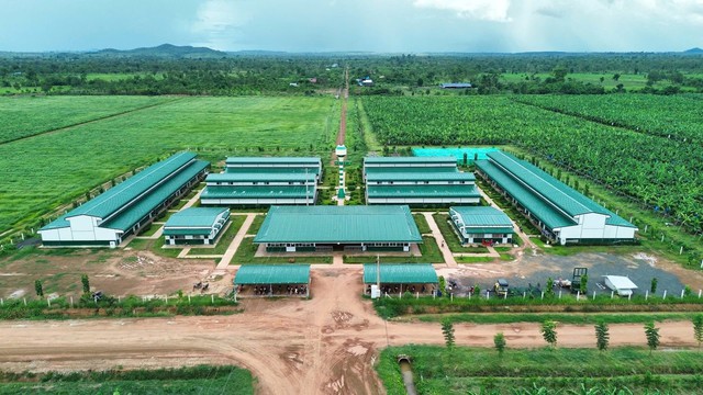 Doanh nghiệp của tỷ ph&uacute; Trần B&aacute; Dương v&agrave;o "tầm ngắm" r&agrave; so&aacute;t thuế - Ảnh 1.
